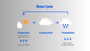 Water cycle process