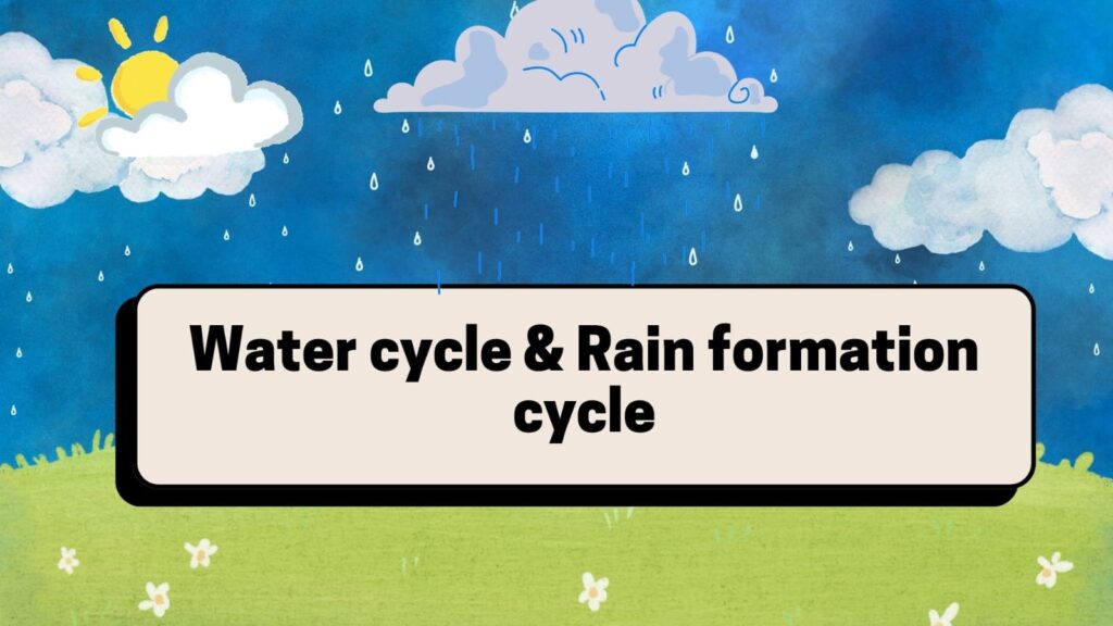 Water cycle and rain formation