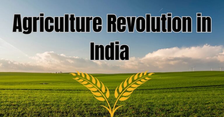 Agricultural revolution in India